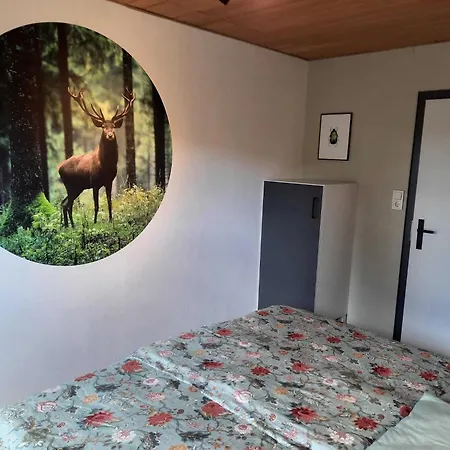 アパート In Der Naehe Von Willingen, Cleaning Included