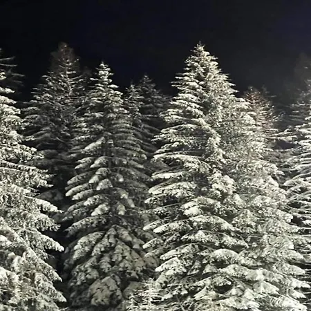 アパート In Der Naehe Von Willingen, Cleaning Included ヴィリンゲン