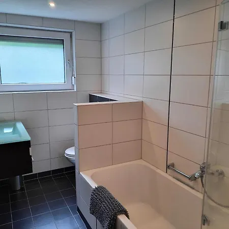 In Der Naehe Von Willingen, Cleaning Included