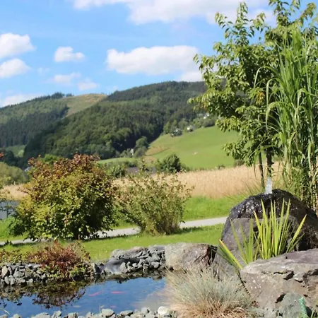In Der Naehe Von Willingen, Cleaning Included Apartamento