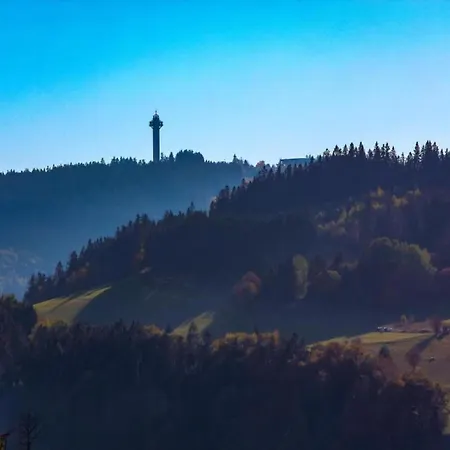 In Der Naehe Von Willingen, Cleaning Included アパート ヴィリンゲン