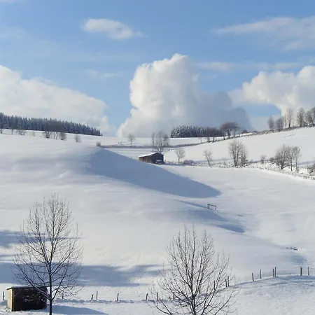 アパート In Der Naehe Von Willingen, Cleaning Included ヴィリンゲン