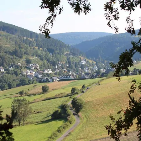 Apartamento In Der Naehe Von Willingen, Cleaning Included