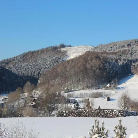 In Der Naehe Von Willingen, Cleaning Included アパート *