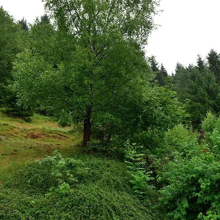 Apartamento In Der Naehe Von Willingen, Cleaning Included Willingen (Upland)