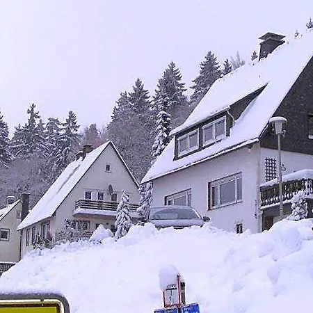 In Der Naehe Von Willingen, Cleaning Included アパート *