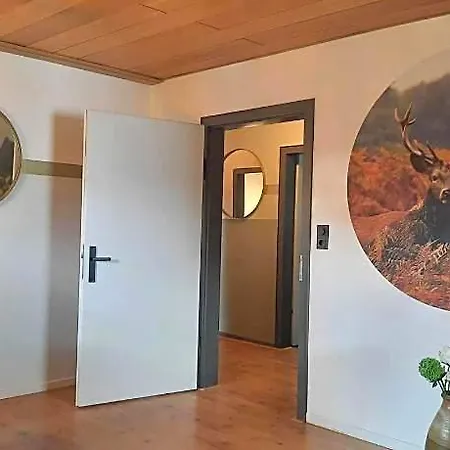 In Der Naehe Von Willingen, Cleaning Included * ヴィリンゲン
