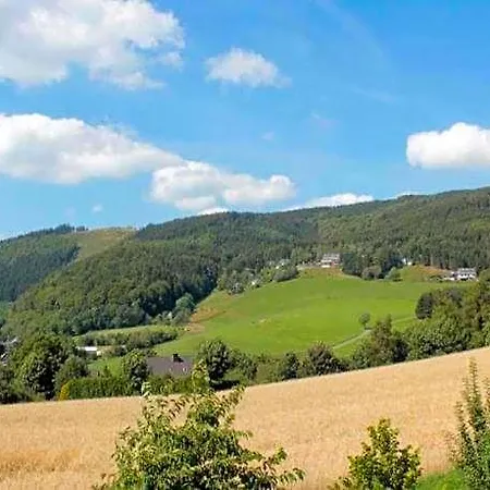 In Der Naehe Von Willingen, Cleaning Included * ヴィリンゲン
