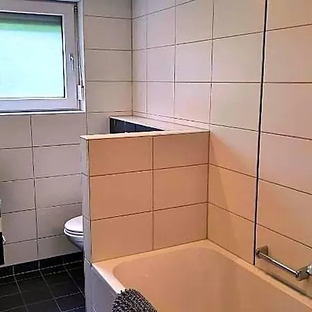 In Der Naehe Von Willingen, Cleaning Included ヴィリンゲン
