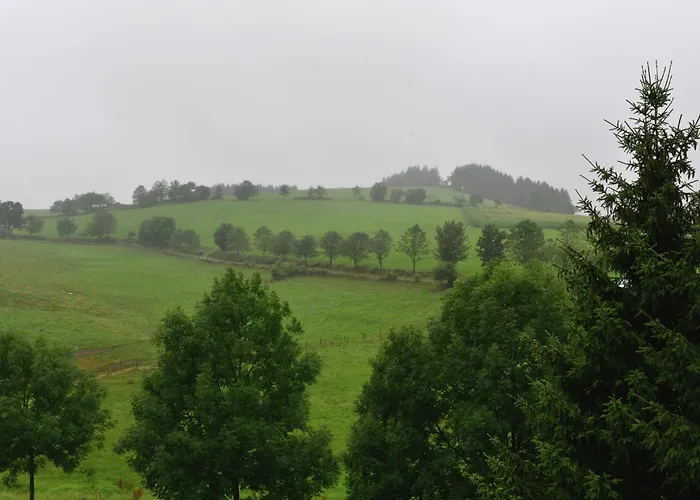 Apartment In Der Naehe Von Willingen, Cleaning Included