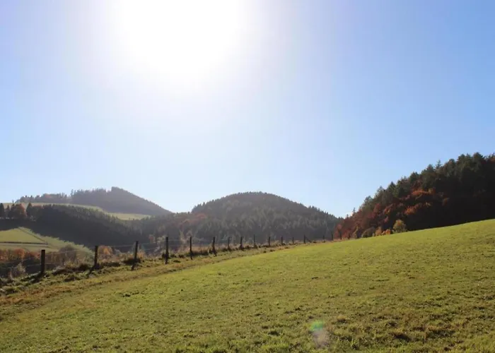 In Der Naehe Von Willingen, Cleaning Included * Willingen (Upland)
