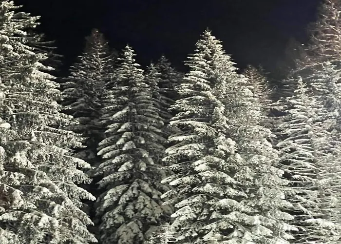 Апартаменти In Der Naehe Von Willingen, Cleaning Included Віллінген