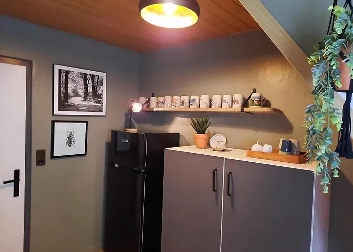 In Der Naehe Von Willingen, Cleaning Included * Віллінген