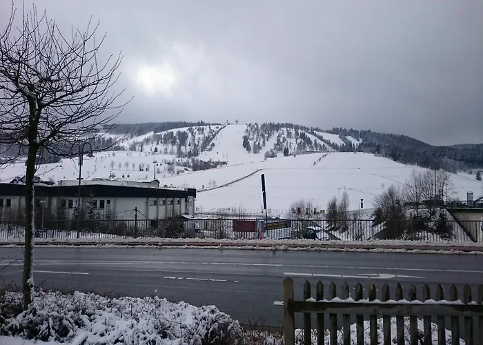 In Der Naehe Von Willingen, Cleaning Included Willingen (Upland)