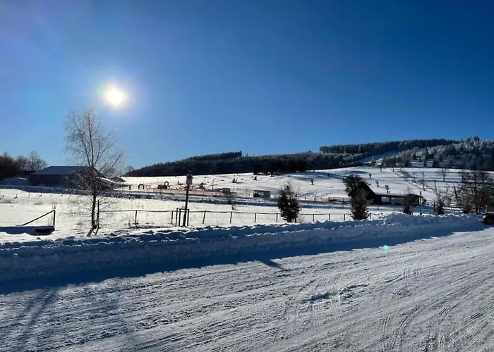 In Der Naehe Von Willingen, Cleaning Included Апартаменти *