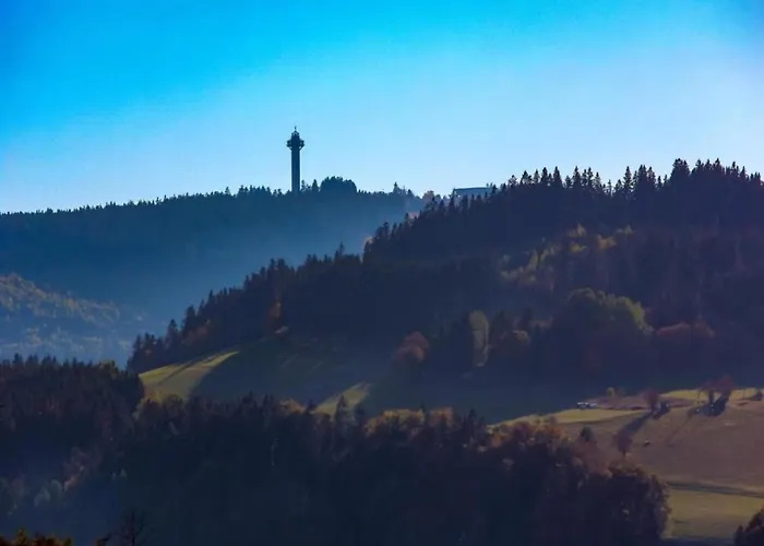 In Der Naehe Von Willingen, Cleaning Included Apartment Willingen (Upland)