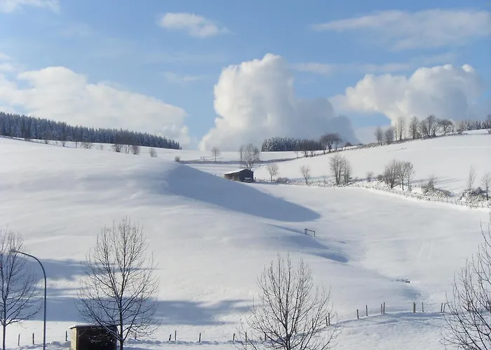 Apartment In Der Naehe Von Willingen, Cleaning Included Willingen (Upland)