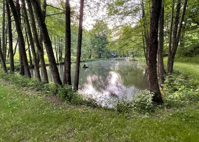 In Der Naehe Von Willingen, Cleaning Included *