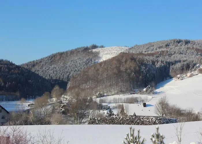 In Der Naehe Von Willingen, Cleaning Included Апартаменти *