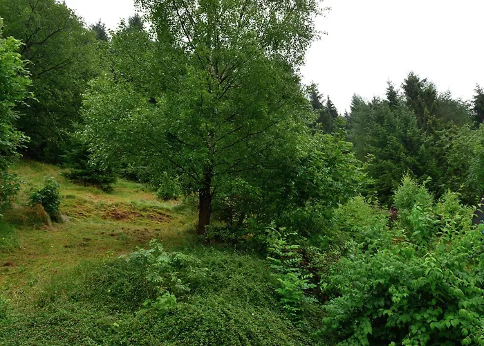 Апартаменти In Der Naehe Von Willingen, Cleaning Included Віллінген